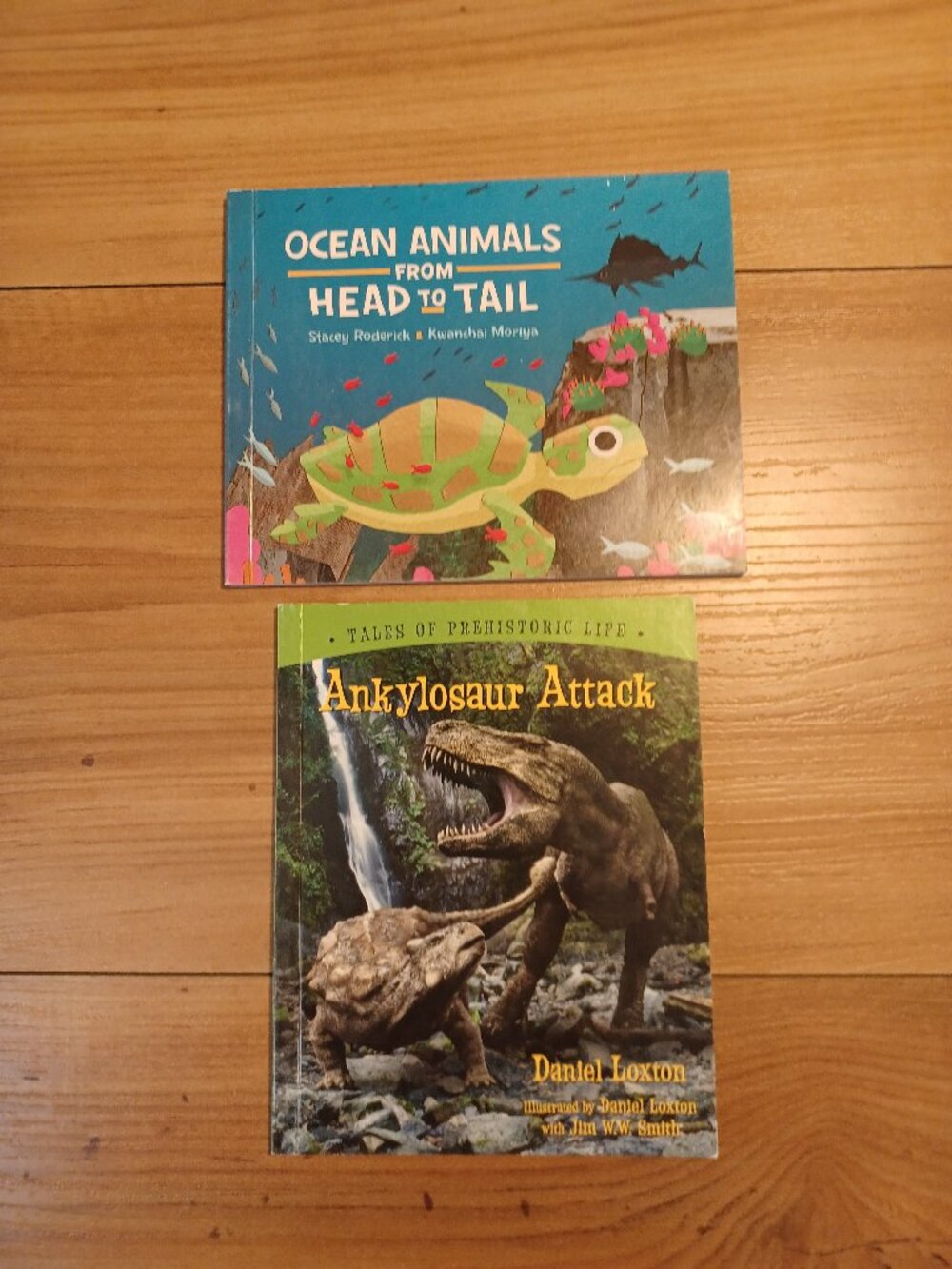 Ocean Animals From Head To Tail By Stacey Roderick Book - Picture 1 of 6